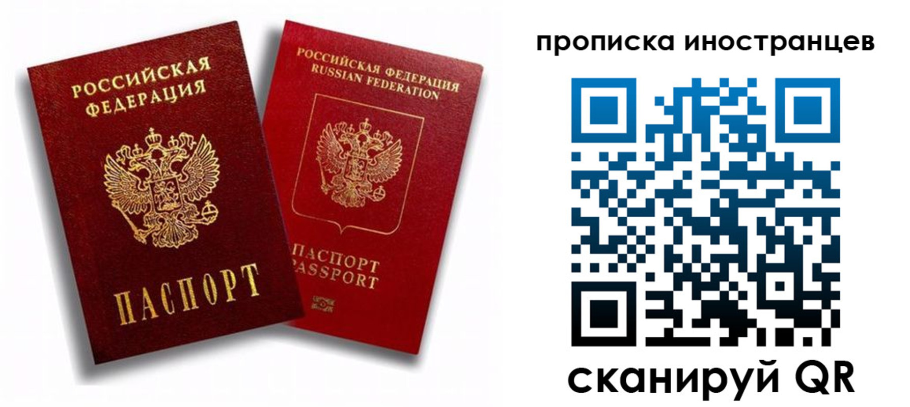 прописка паспорт в Новгородской области